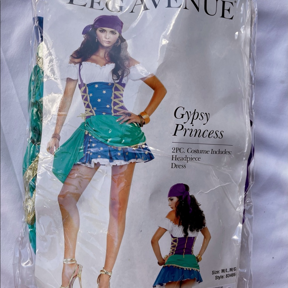 Gypsy Princess Costume